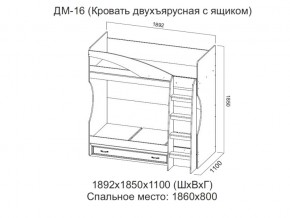 ДМ-16 Кровать двухъярусная с ящиком в Мегионе - megion.magazin-mebel74.ru | фото