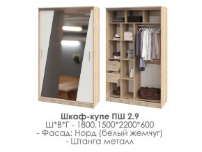 шкаф-купе ПШ-2.9 1500 Норд Белый жемчуг 1500 в Мегионе - megion.magazin-mebel74.ru | фото