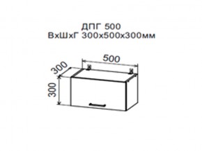 Шкаф верхний ДПГ500 горизонтальный в Мегионе - megion.magazin-mebel74.ru | фото