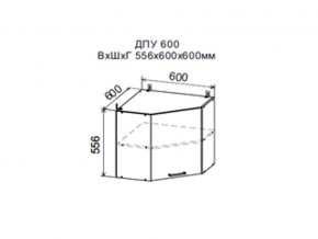 Шкаф верхний ДПУ600 угловой в Мегионе - megion.magazin-mebel74.ru | фото